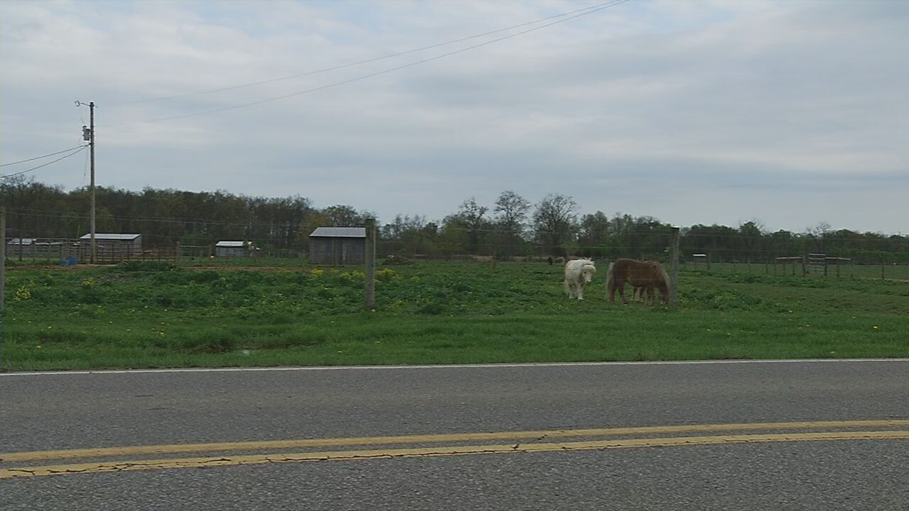 charlestown pike farms